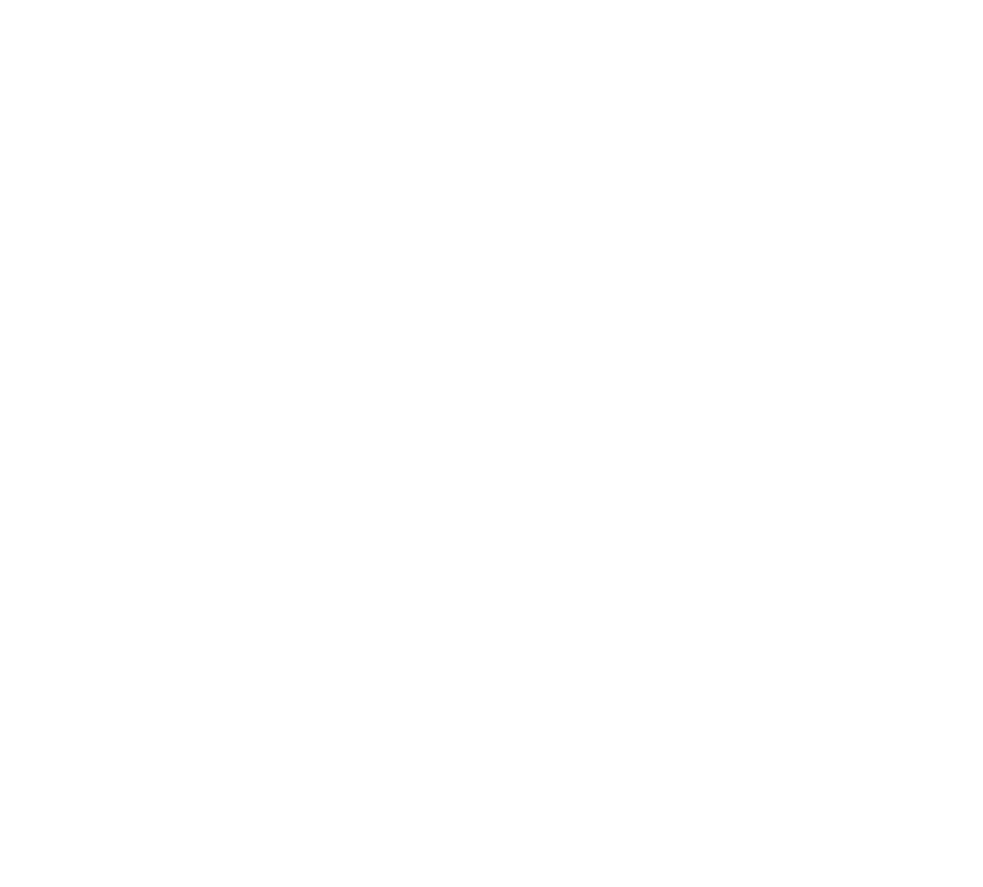Logo PortWaterControl blanco